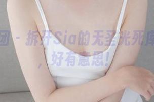 森萝财团 – 拆开Sia的无圣光死库水图包，好有意思！