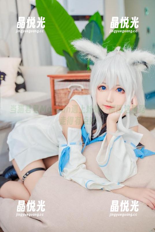 当猫君君MaoJun遇上妹妹：原图这条路走得有点爽