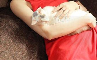 青豆客 – 子纯儿Annie的JK美图图集，不一般的角度